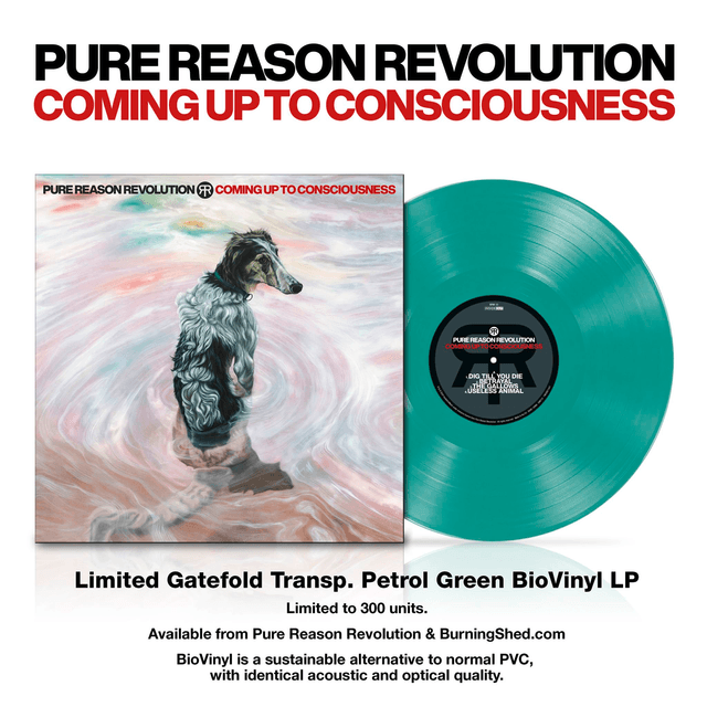 Pure Reason Revolution - Coming Up To Consciousness + Rarities: In The Realms of the Divine