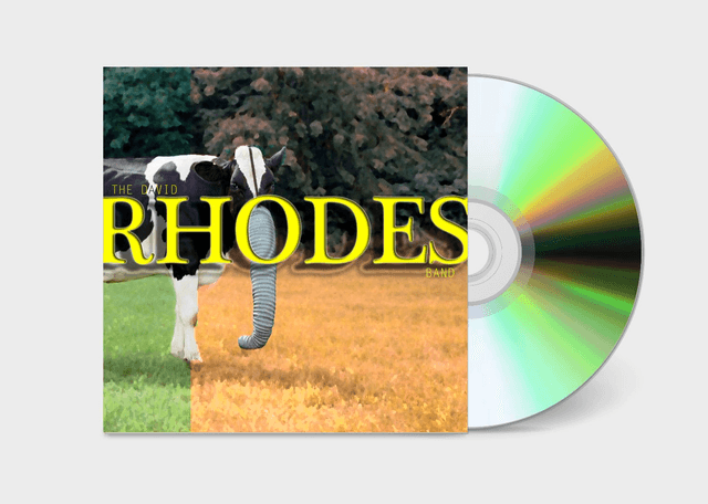 David Rhodes - The David Rhodes Band